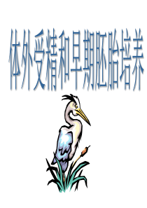 人教版高中生物选修三3.2《体外受精和早期胚胎培养》(优质课件)-(共29张PPT)