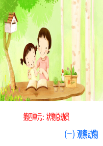 描写动物ppt