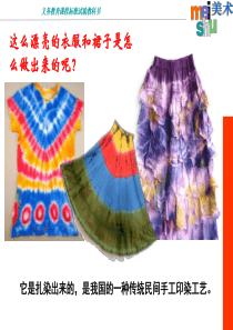 2、《染色游戏》PPT课件