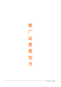化妆品类目天猫运营推广策划书