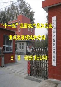 中国农产品加工业“十一五”重点领域和方向