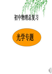 中考总复习光学专题