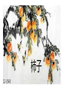 国画柿子教程教案