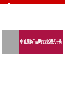 中国房地产品牌的发展模式分析