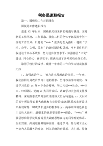 税务局述职报告