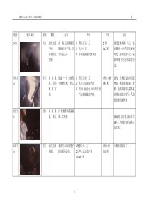 《燕尾蝶》拉片记录