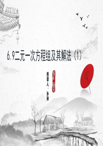 6.9二元一次方程组及其解法(1)