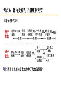 胚胎工程高三一轮复习公开课