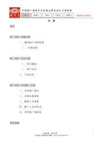北京市通州区一个项目的策划报告