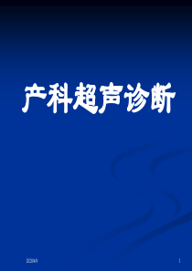 产科超声诊断模板