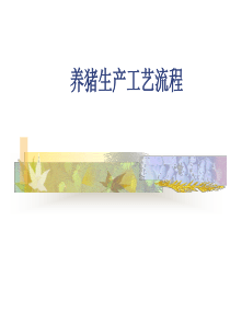 猪生产学-养猪生产工艺流程图