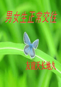 初一(2)《正确处理男女同学的交往》主题班会ppt课件[1]