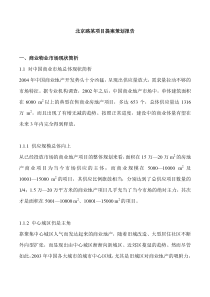 北京路某项目提案策划报告