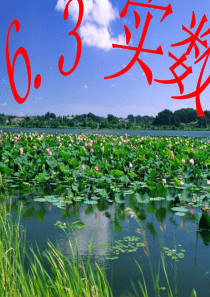 七年级数学实数第二课时-新人教版