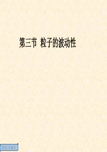 选修3-5.3第三节--粒子的波动性