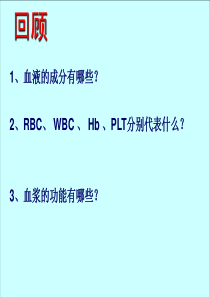 4.2血流的管道—血管(共30张PPT)