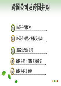 跨国公司及跨国并购