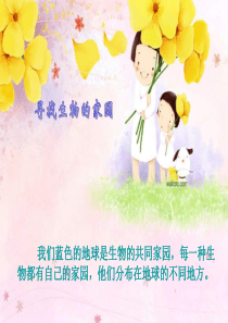 苏教版科学六下《寻找生物的家园》PPT课件