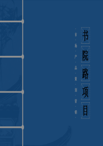 新野书院路项目营销策划报告(最终版)