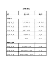 政府会计报表7种