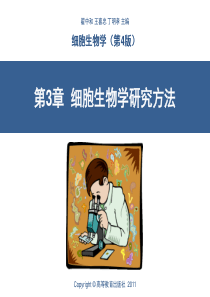 细胞生物学-第3章-细胞生物学研究方法(翟中和第四版)