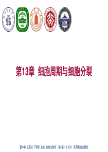 第13章--细胞周期与细胞分裂