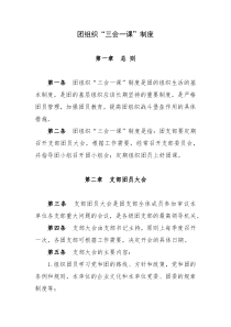 团组织“三会一课”制度
