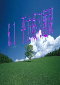 6.1平方根习题课