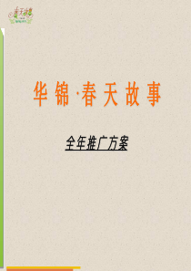 华锦春天故事全年推广方案（PPT111页）