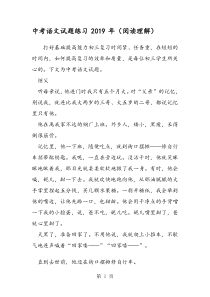 中考语文试题练习(阅读理解)