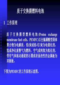 质子交换膜燃料电池