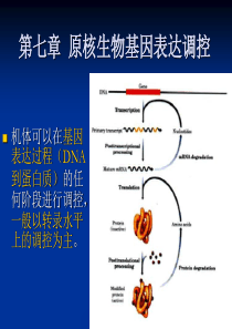 《现代分子生物学》第七章--原核生物基因表达调控