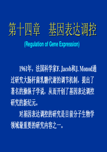 基因表达调控