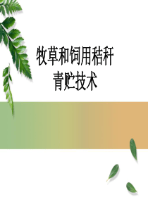 牧草青贮技术PPT