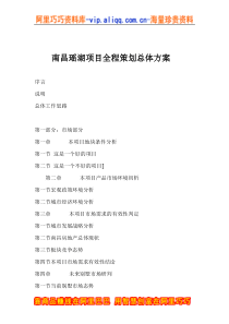 南昌瑶湖项目全程策划总体方案（DOC 55页）