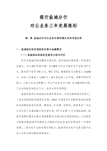 公司业务三年发展规划