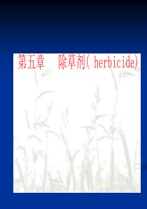 除草剂分类和使用方法PPT课件