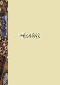普通心理学感觉