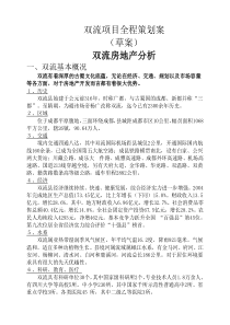 双流项目全程策划案