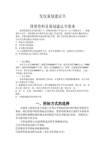 发包策划建议书