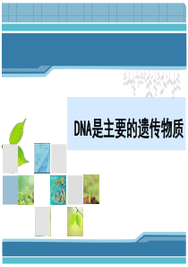 DNA是主要的遗传物质(优质课)