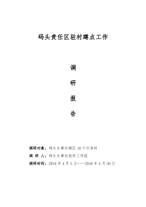 2016.4驻村蹲点调研报告