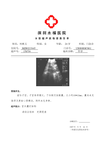 B超报告单模板