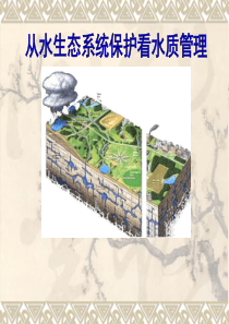 从水生态系统保护看水质监测