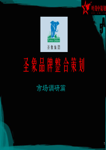 叶茂中策划：圣象品牌整合策划