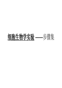 细胞生物学实验-——步骤集