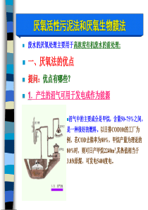 环境微生物学教学课件-18-1