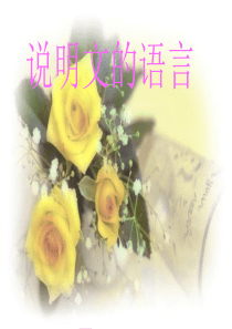 说明文语言的特点ppt课件