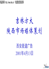 吉林方大陕西市场媒体策划