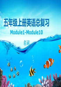 五年级英语上册总复习：名词(外研版)完美版